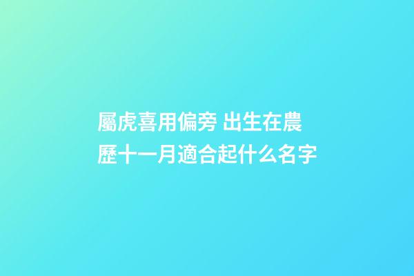 屬虎喜用偏旁 出生在農歷十一月適合起什么名字